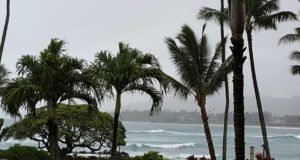 Condo View on Kauai
